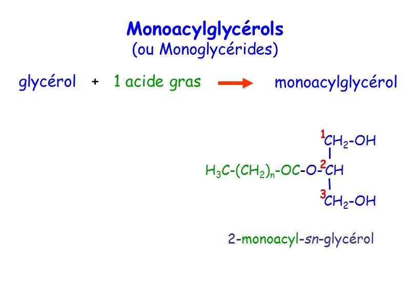 2-monoacyl-sn-glycérol 1  2  3 glycérol   +   1 acide